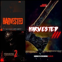 Harvested the Holiday Horror Film Franchise, Culture Forward TV original, Thanksgiving Horror